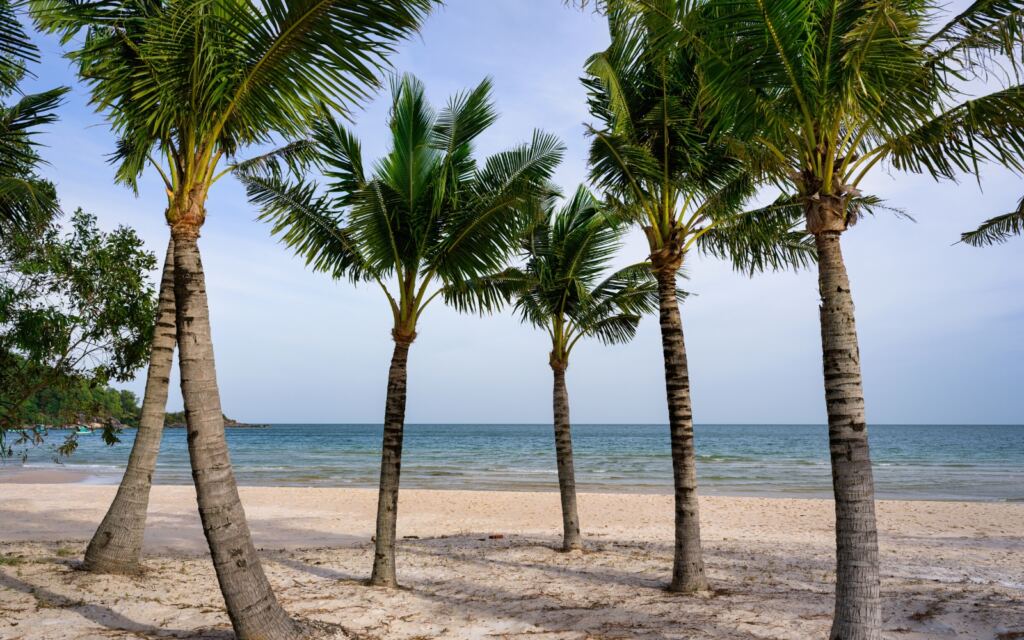 Accommodation phu quoc