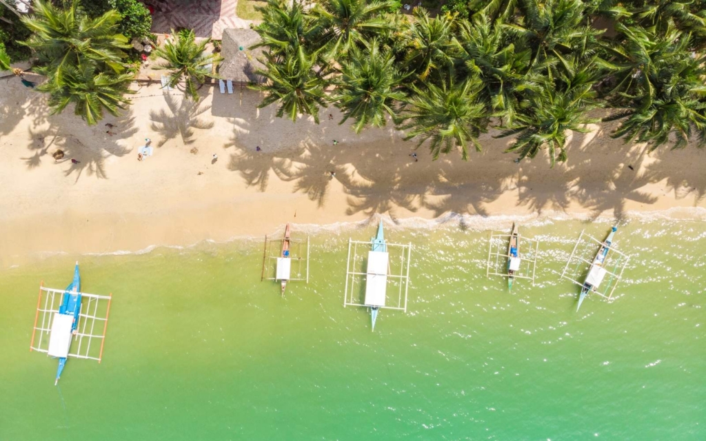 Aerial veiw of boats and palm trees in Palawan Philippines against green water