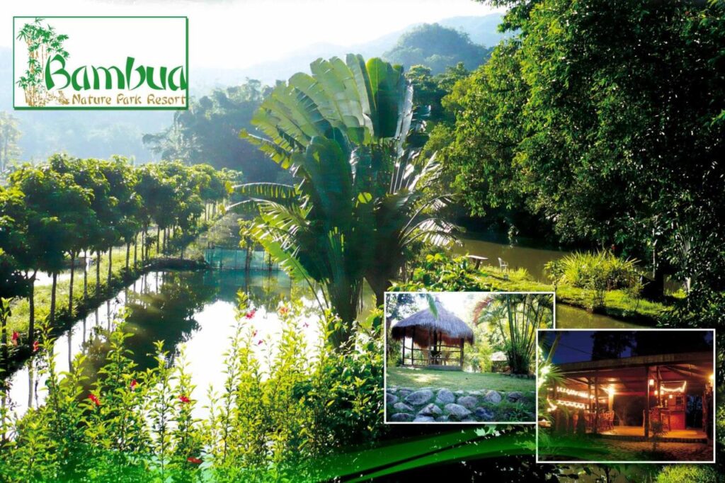 a pond and green plants at Bambua Nature Cottages
