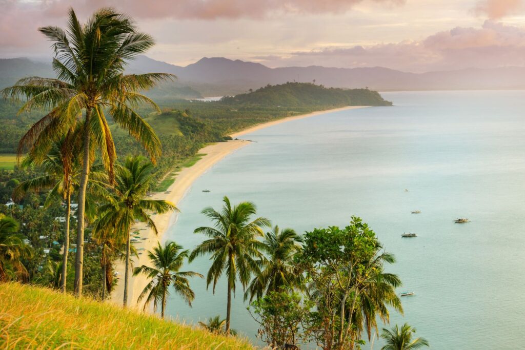 overlooking view of the Bay and Palm trees in Palawan