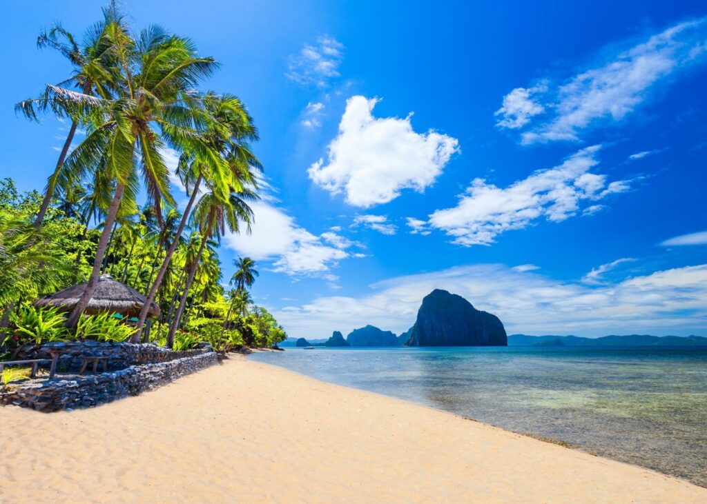 Beach with palm trees in El Nido Palawan