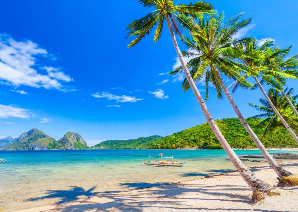 Golden beach with palm trees and boats in front of green mountains