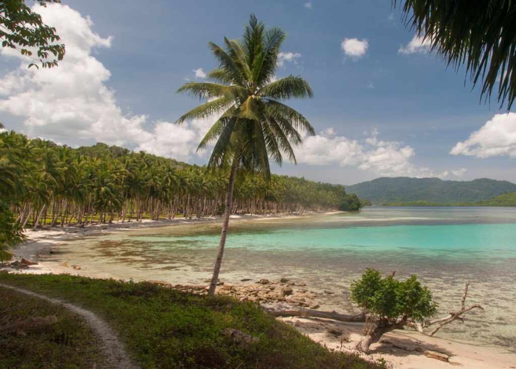 panoramic view of the beach in Port Barton with palm trees