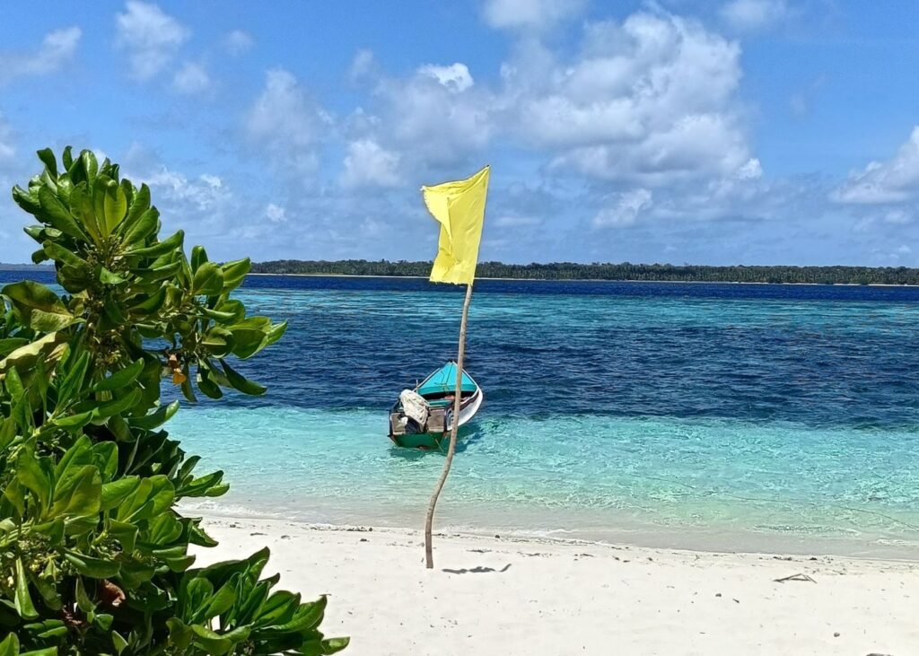 Boat floating in blue waters with greenery and yellow flag