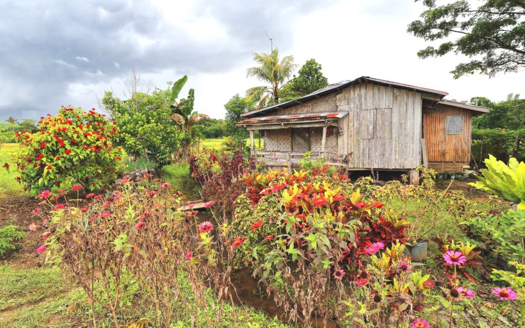 bohol