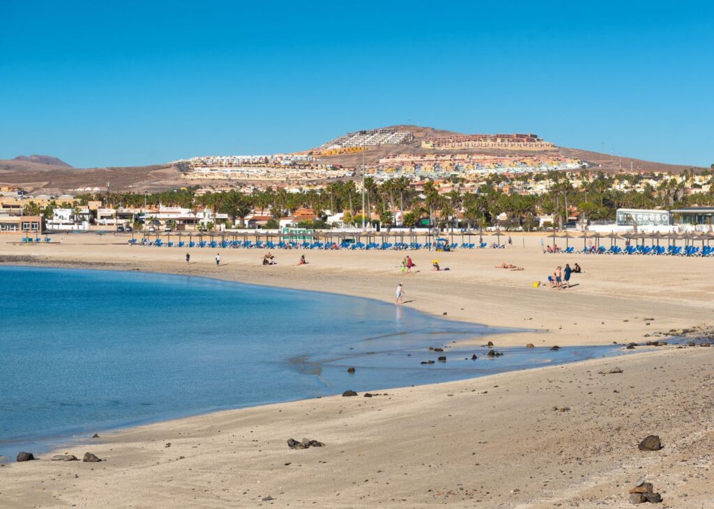 panoramic view of Caleta de Fuste Beach