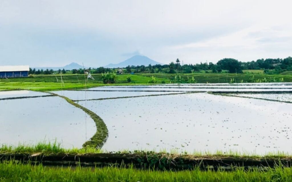 canggu indonesia