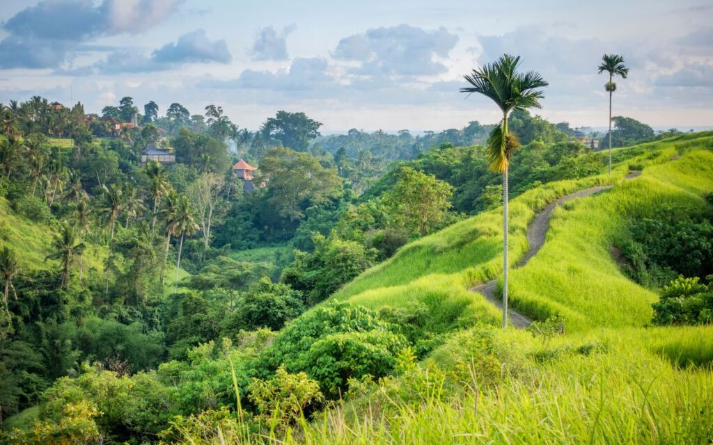 canggu or ubud - accomodation