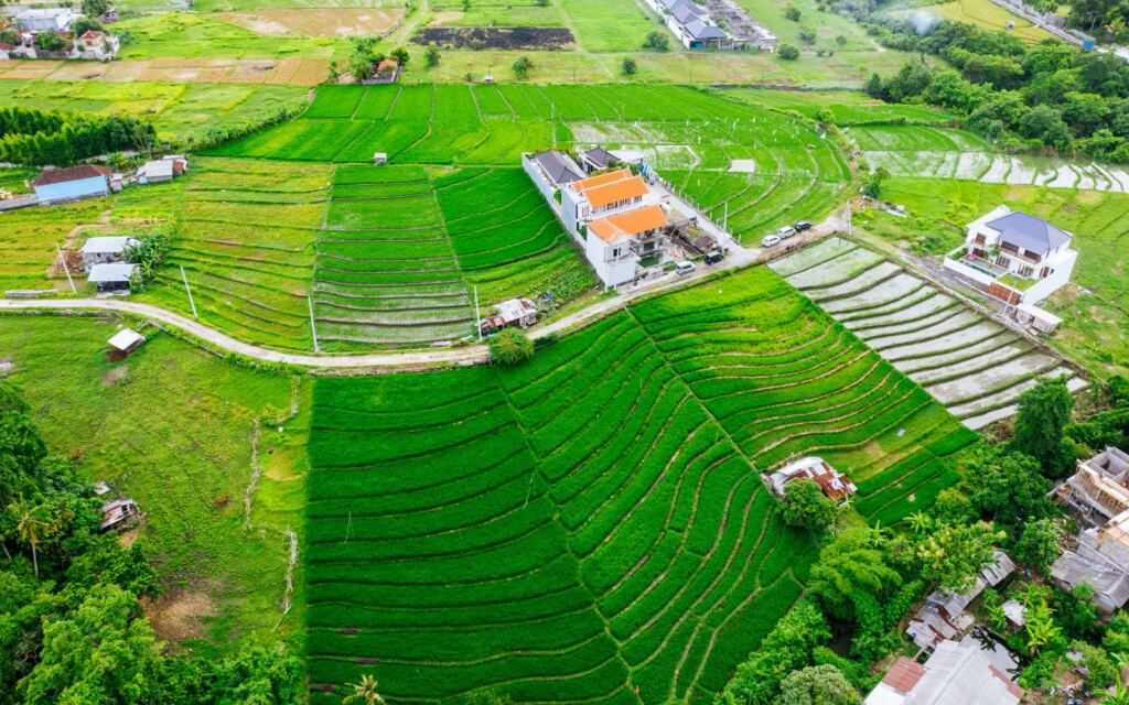 canggu or ubud - things to do