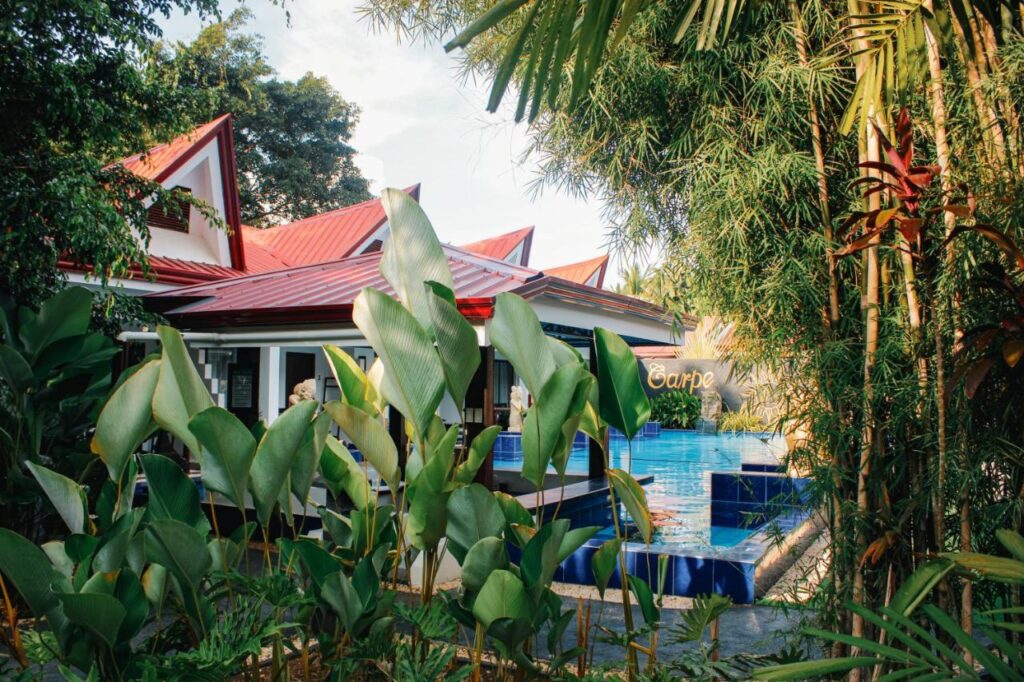 outdoor pool with surrounding plants and garden