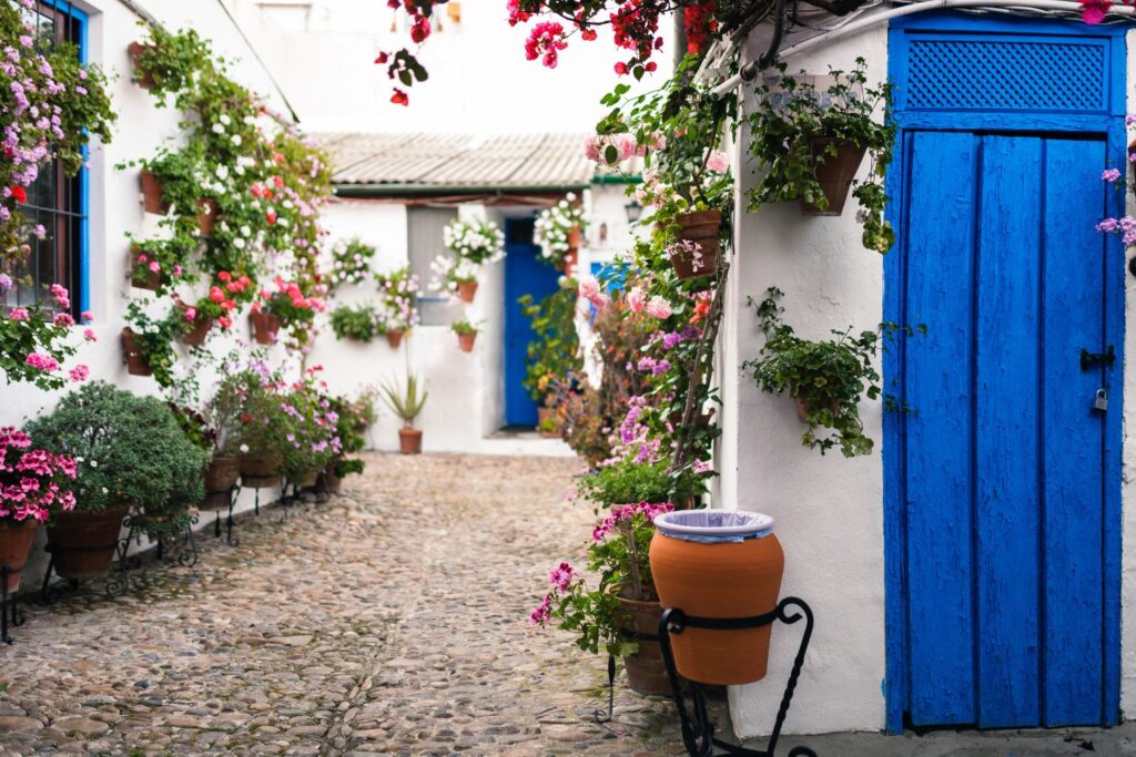 colorful patios with flowers in Cordoba