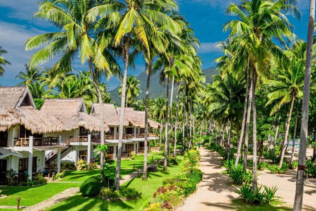 Coconuts and 2 storey villas at Daluyon Beach and Mountain Resort
