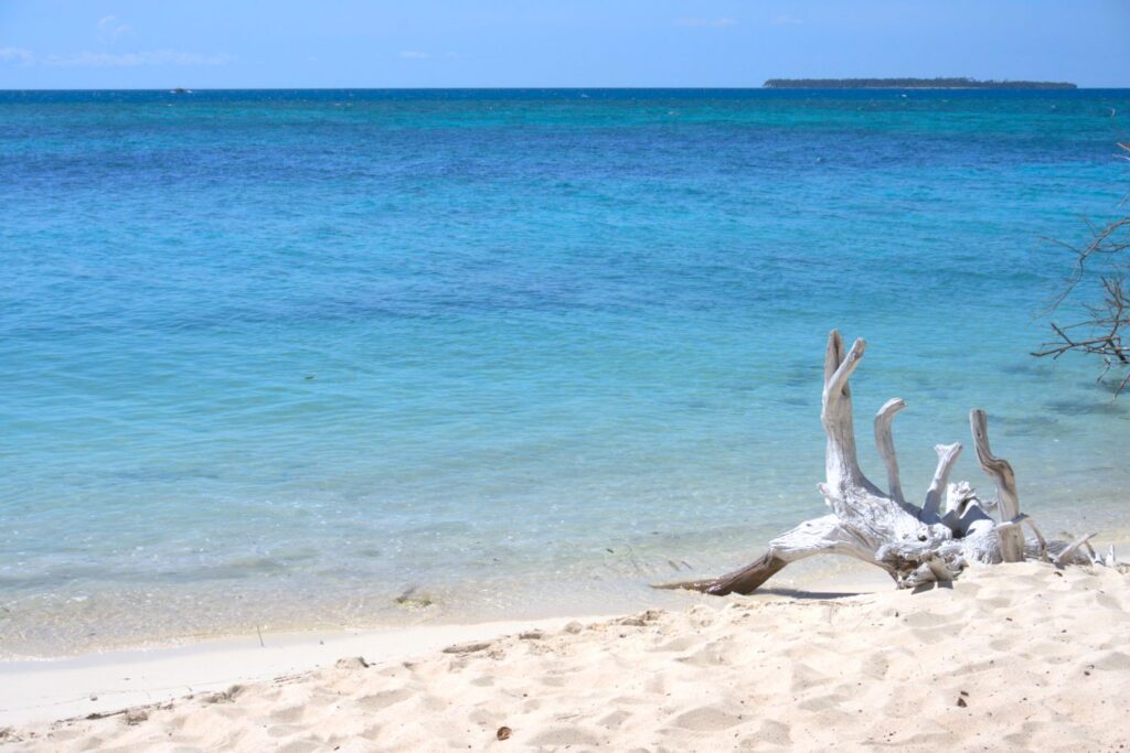Driftwood on white sand beach with blue waters in Balabac Palawan