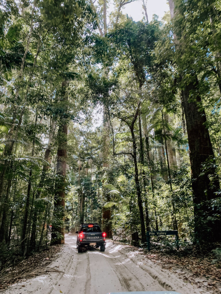 Driving through the rainforest on Fraser Island