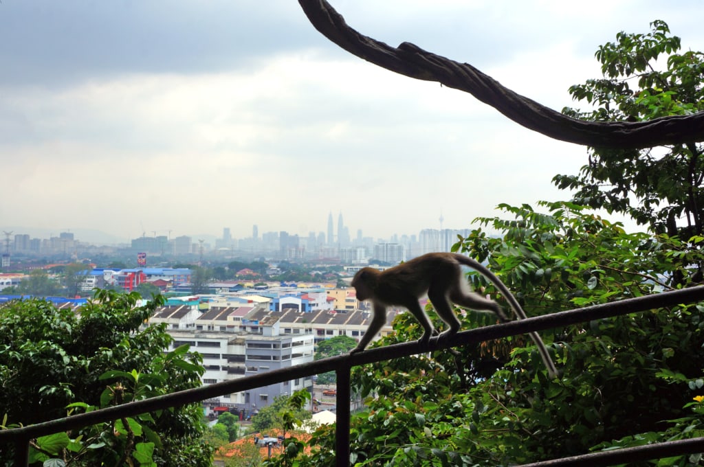 Kuala Lumpur Batu Caves