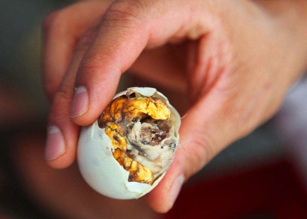 Traditional Filipino delicacy, balut