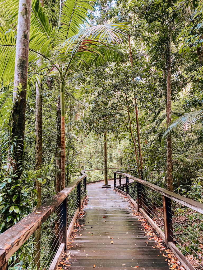 Heart of Fraser Island