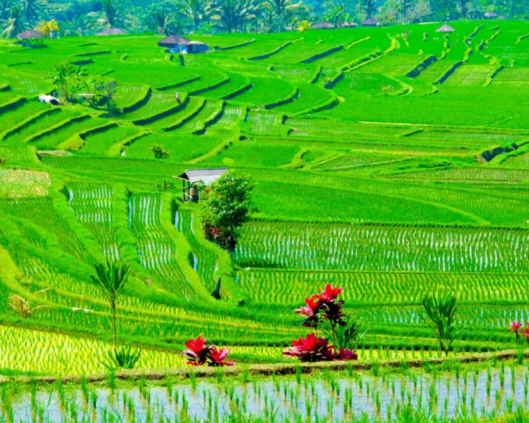 hidden gems in Bali