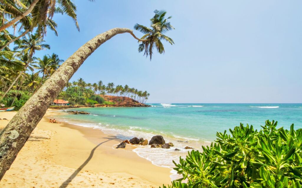 Hiriketiya Beach Travel Guide - mirissa