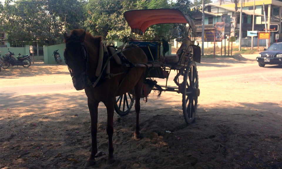 horse cart in myanmar