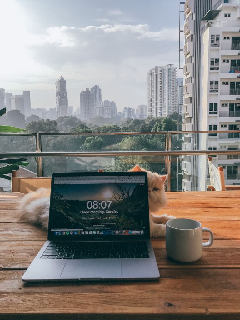 Housesitting in Singapore