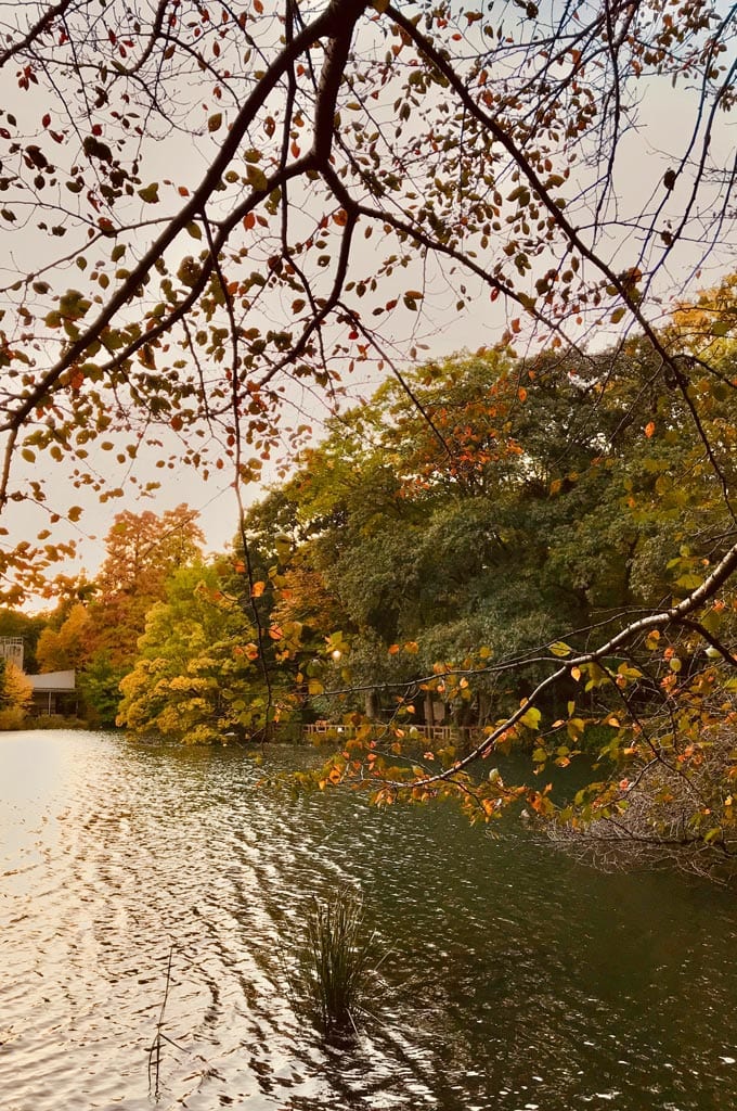when to travel to tokyo