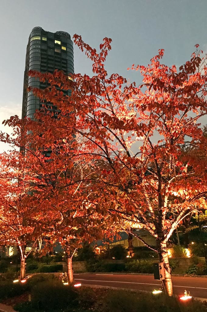 travelling to Tokyo