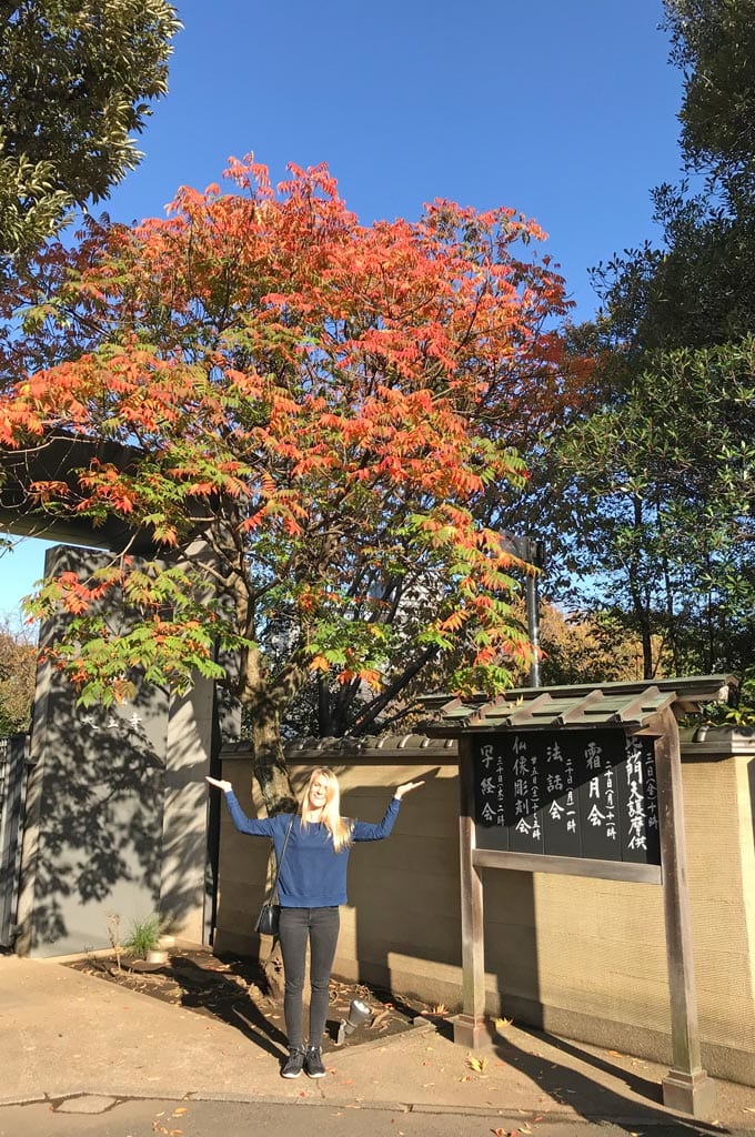 travel to Tokyo
