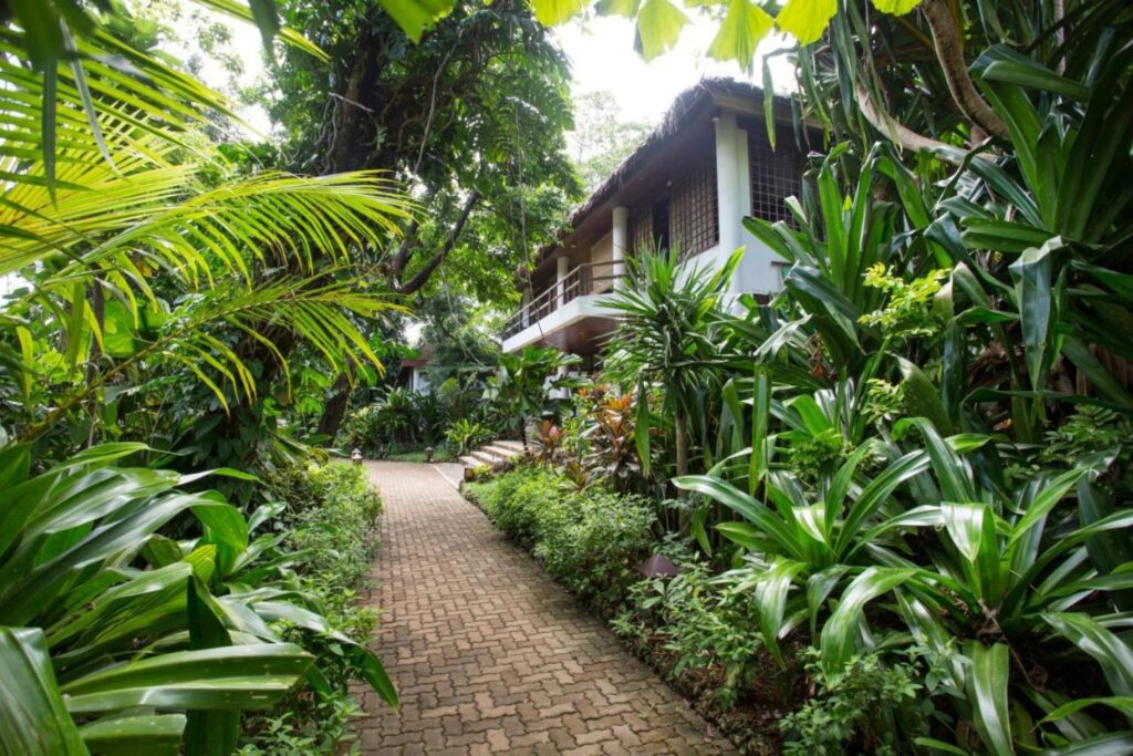 beautiful plants at the gardens along the pathway of Mandala Spa and Resort Villas