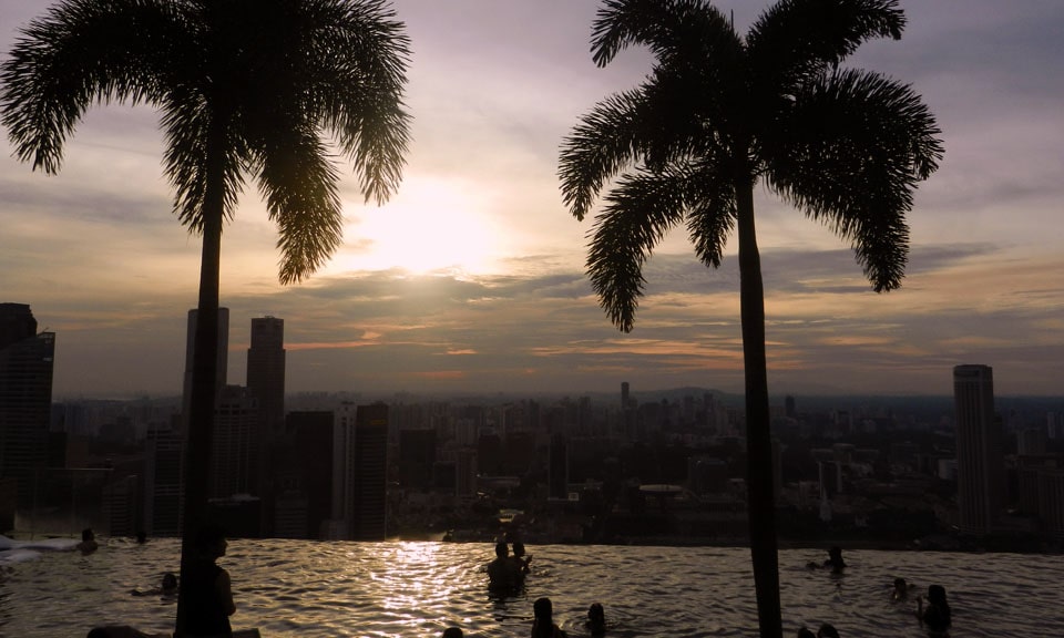 Marina Bay Sands Infinity Pool Palm Trees