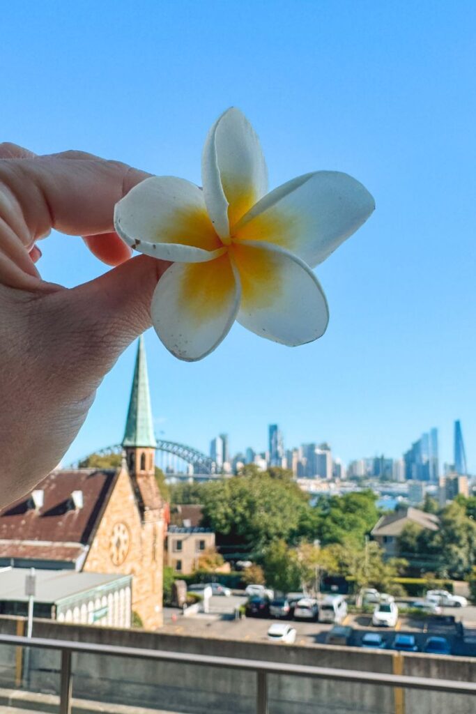 North Sydney Views