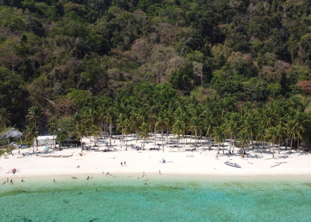 aerial view of Seven Commandos Beach in El Nido with trees and green water