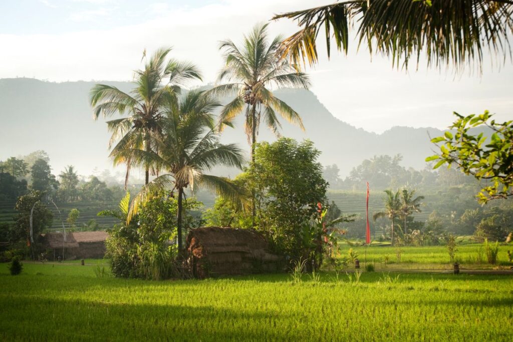 Sidemen Bali rice terraces