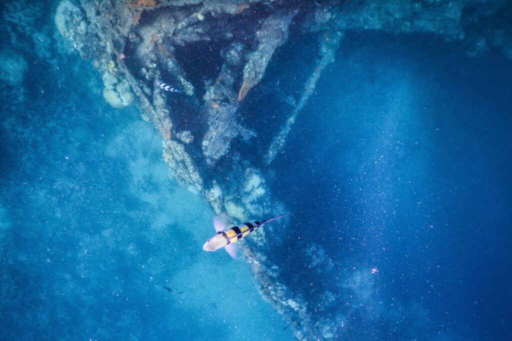 Skeleton Wreck Coron Palawan