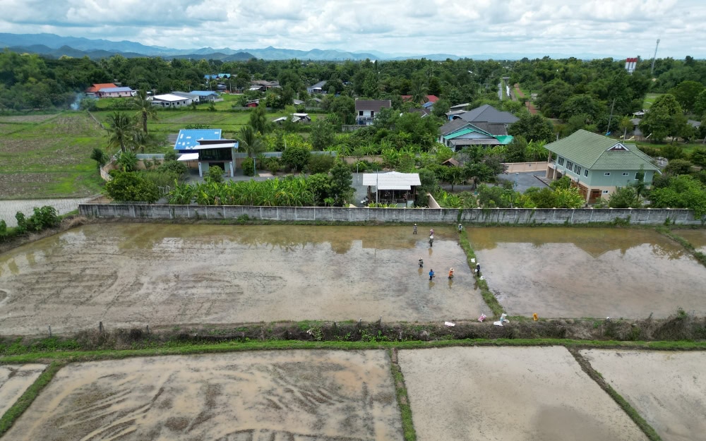 Stay outside of Chiang Mai between mountains and rice fields