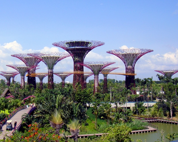 Supertree Grove Singapore Gardens by the Bay