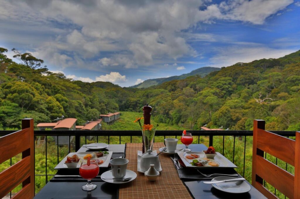The Rainforest Ecolodge in Sinharaja