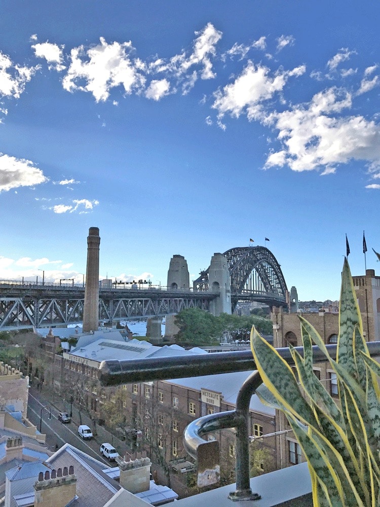The Rocks Rooftop Views Sydney