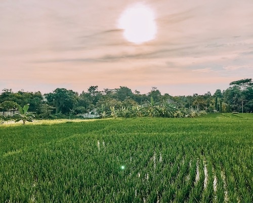 Umalas Bali