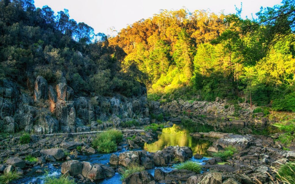 where to stay in launceston - south