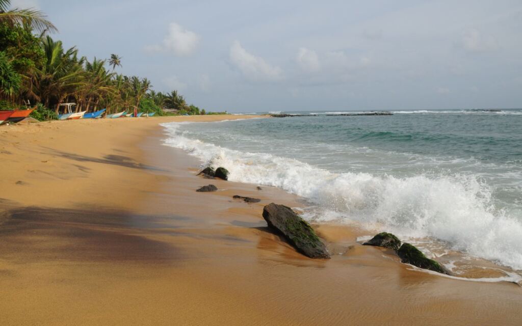 where to stay in mirissa - turtle beach