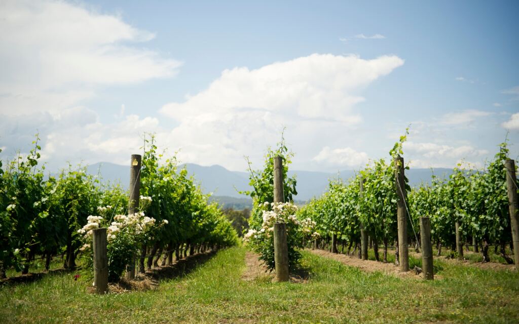 Yarra Valley