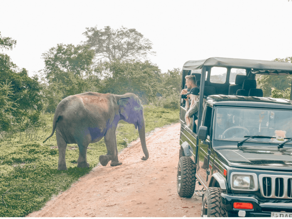 Retreats in Southern Sri Lanka
