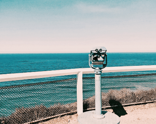 best gold coast tours