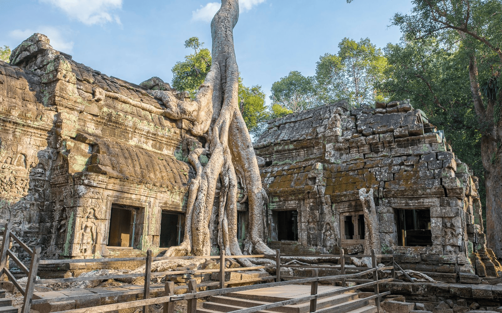 Ta Prohm Temple with a tree growing through it against a blue sky