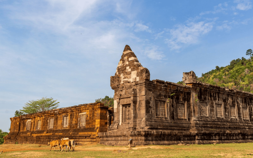 Vat Phou Khmer Temple in Laos with greenery in the background and cows in the front