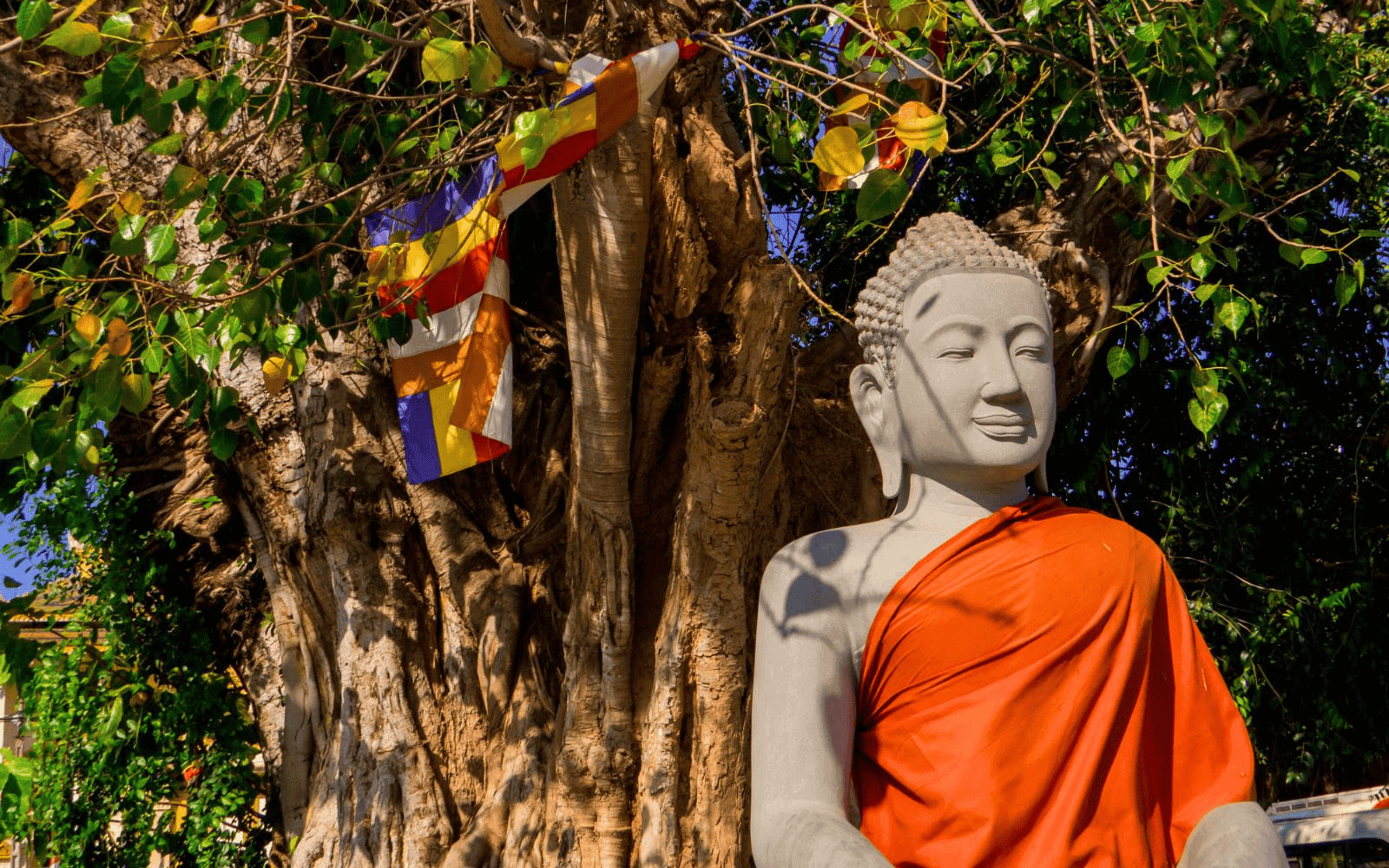 Buddha statue in front of a tree with flags in Phnom Penh