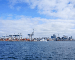 Best Things To Do In New Zealand’s North Island