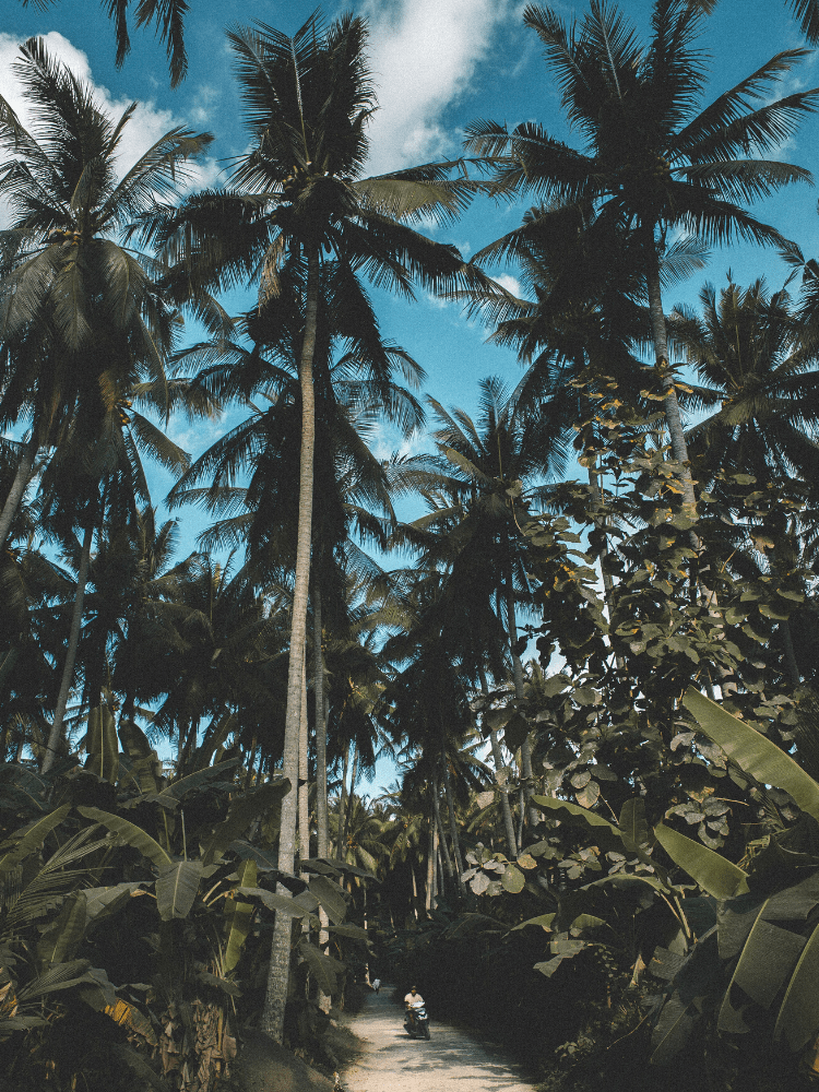 From Bali to Nusa Penida